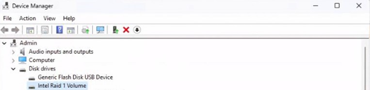 RAID Volume in Windows* Device Manager