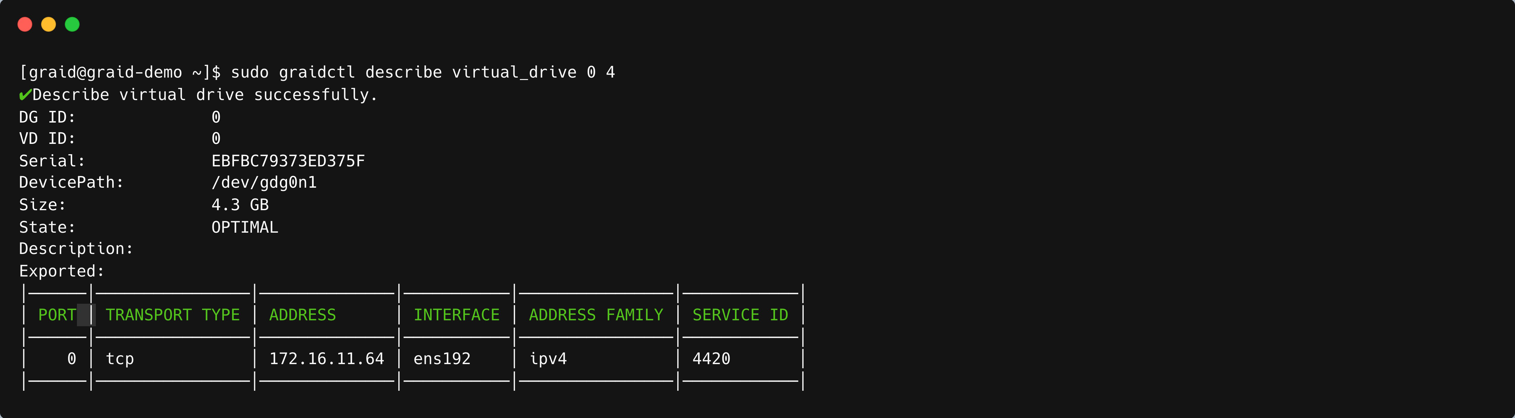 Describe Virtual Drive Output