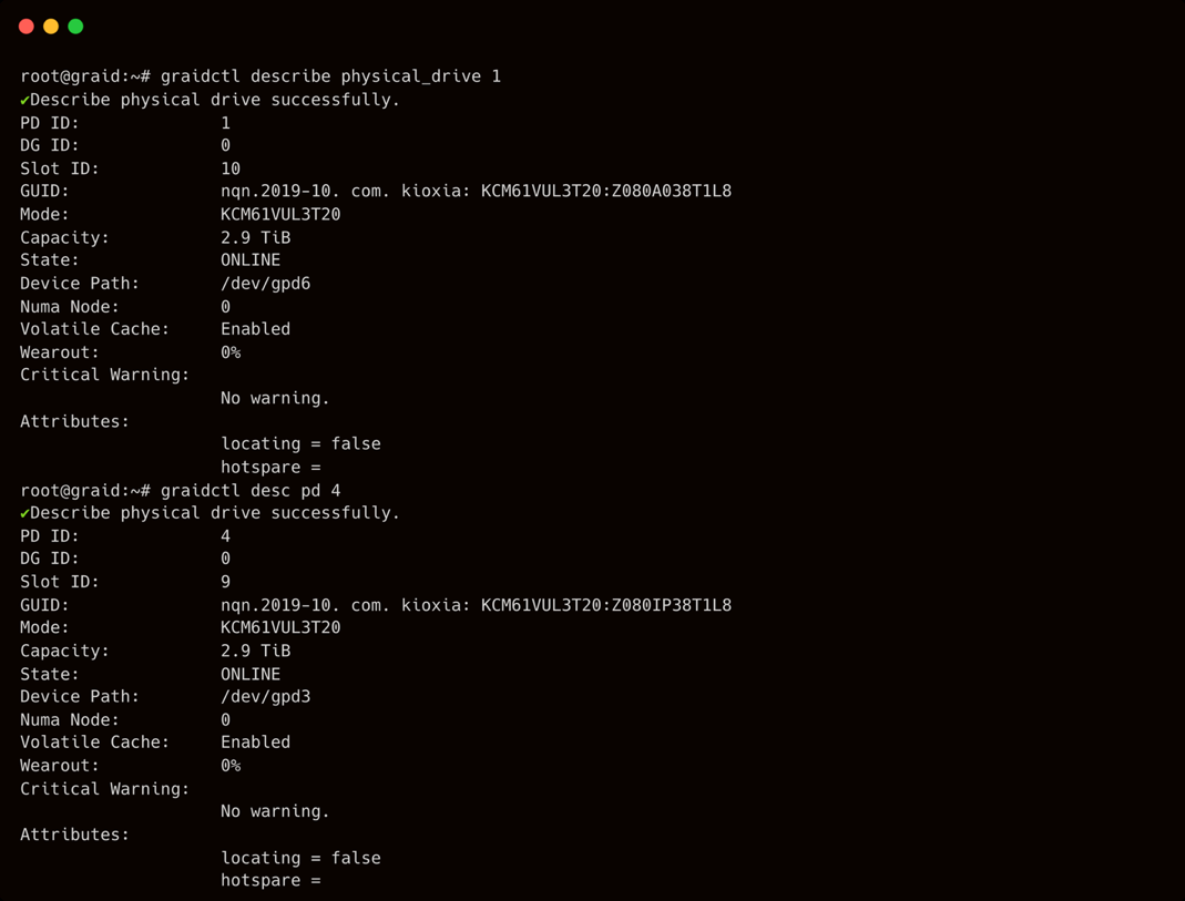 Physical Drive Description Output