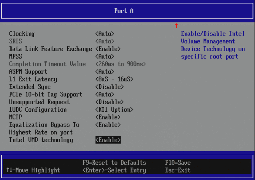Port X Intel VMD enabling