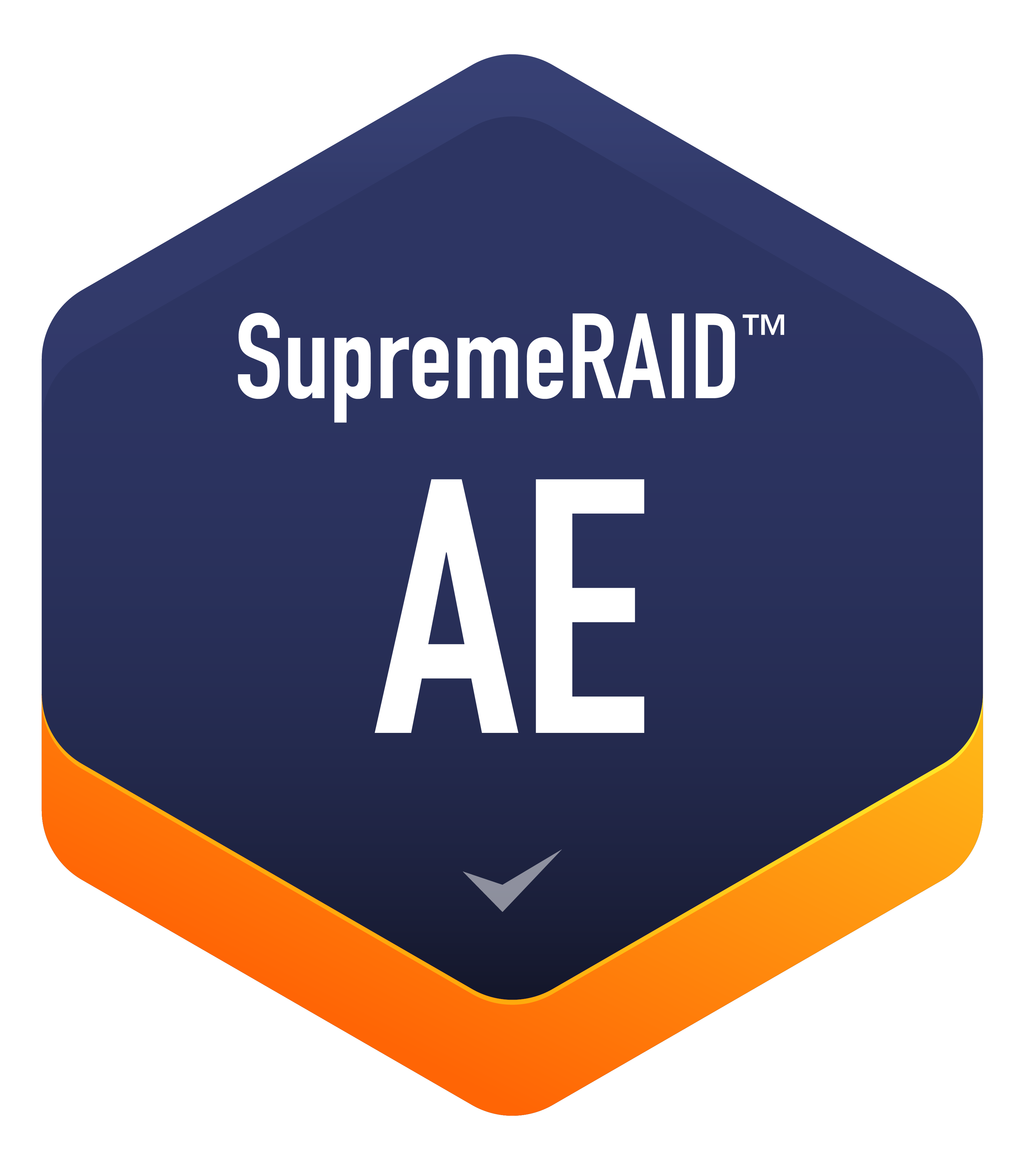SupremeRAID AE 徽章