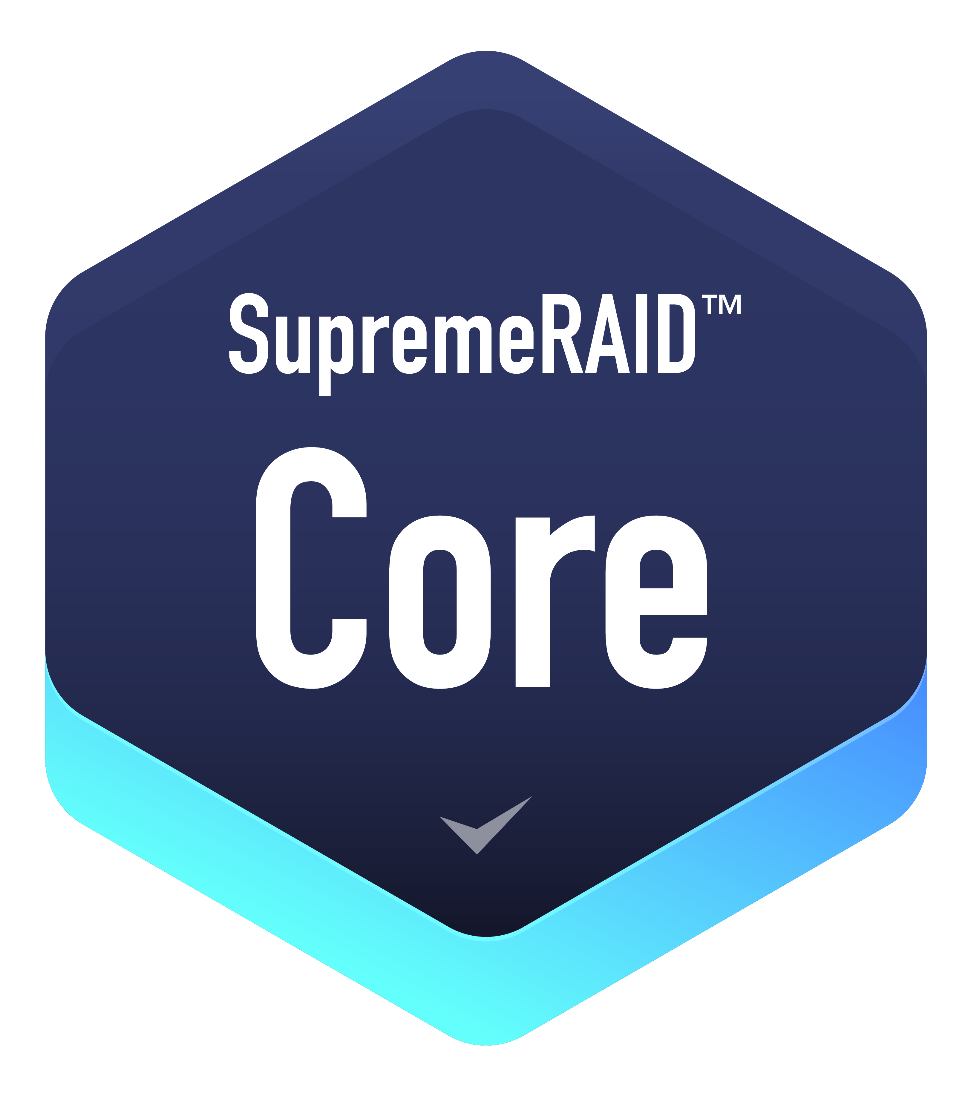 SupremeRAID Core 徽章