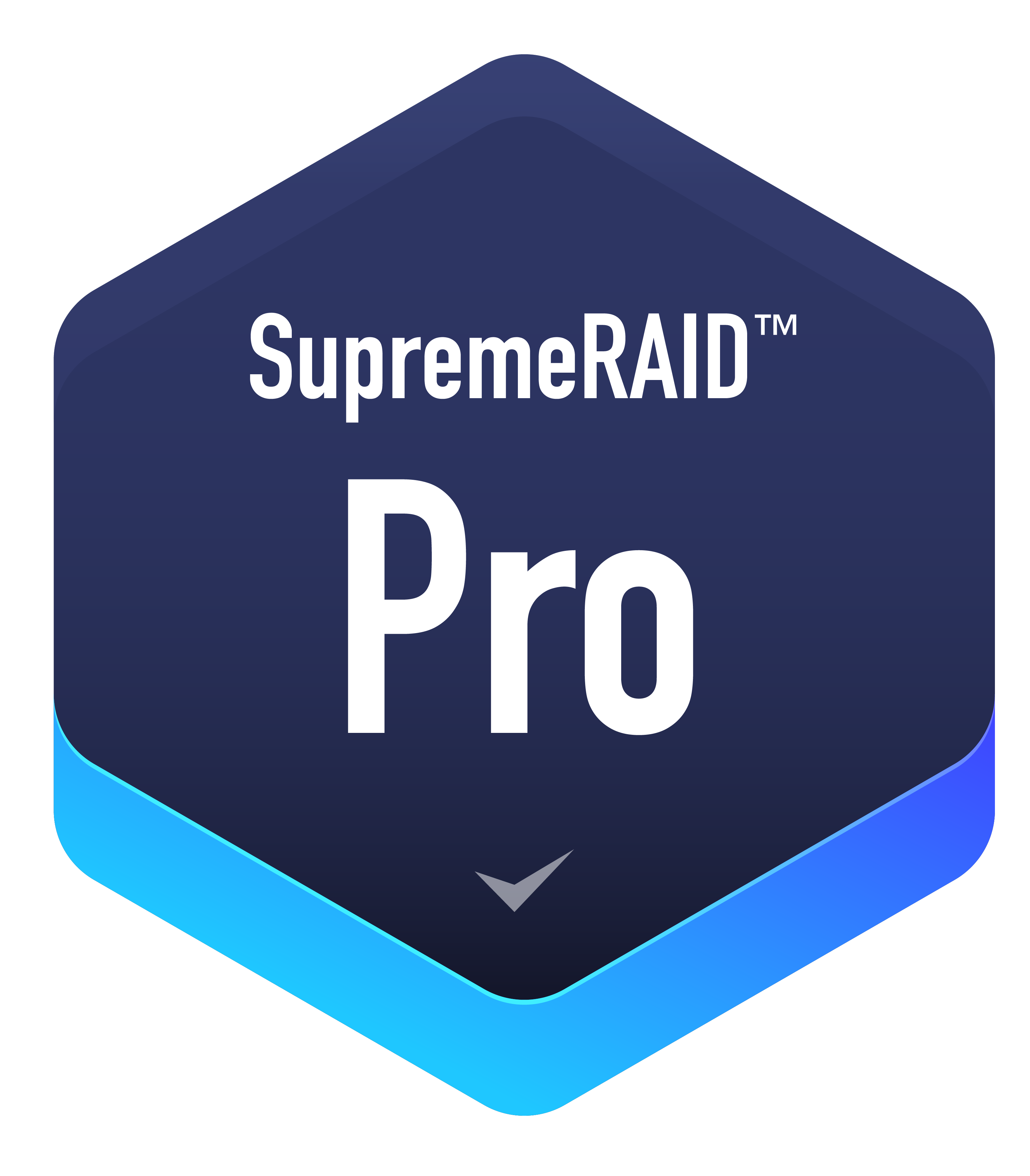 SupremeRAID Pro 徽章