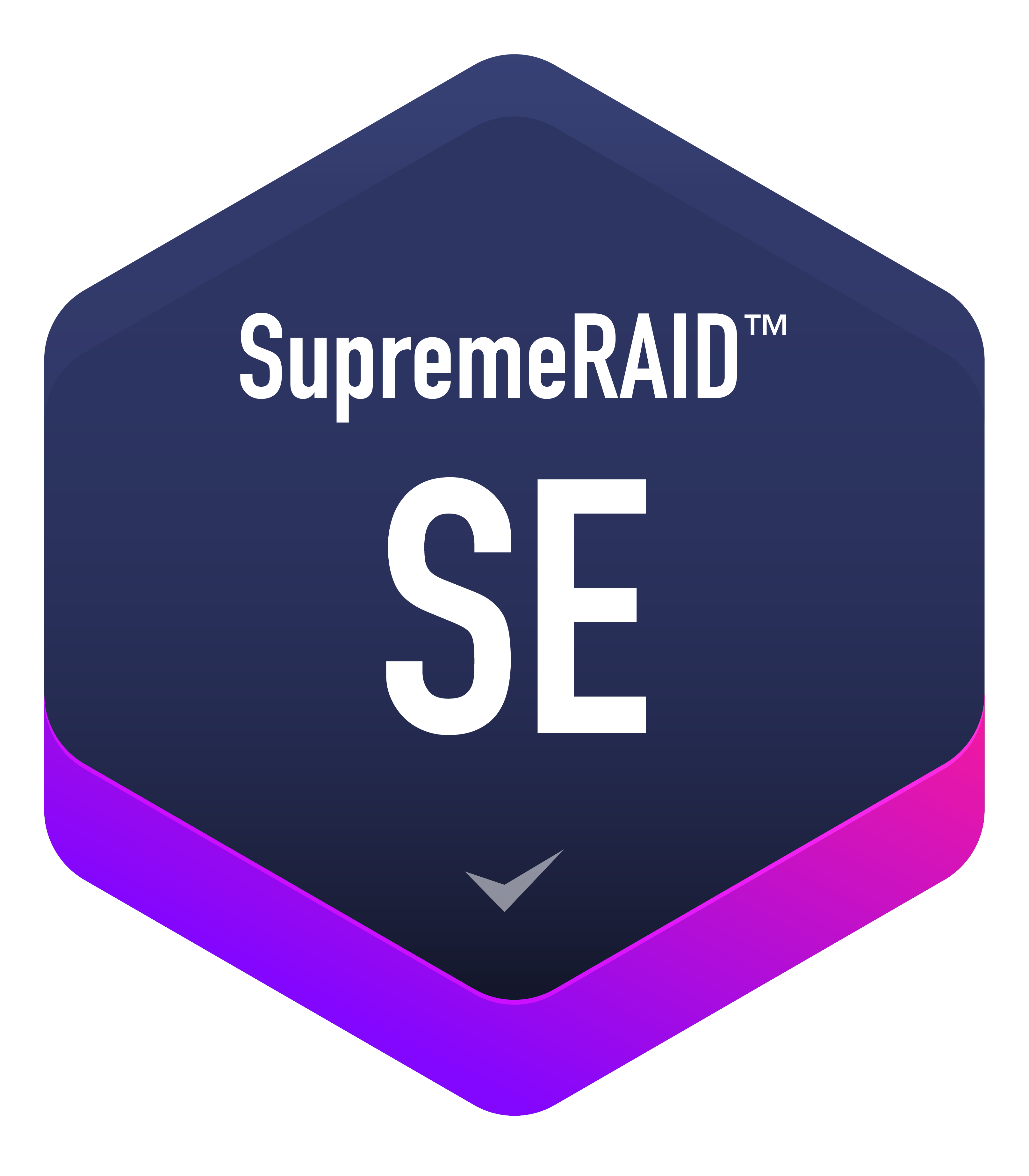 SupremeRAID SE 徽章